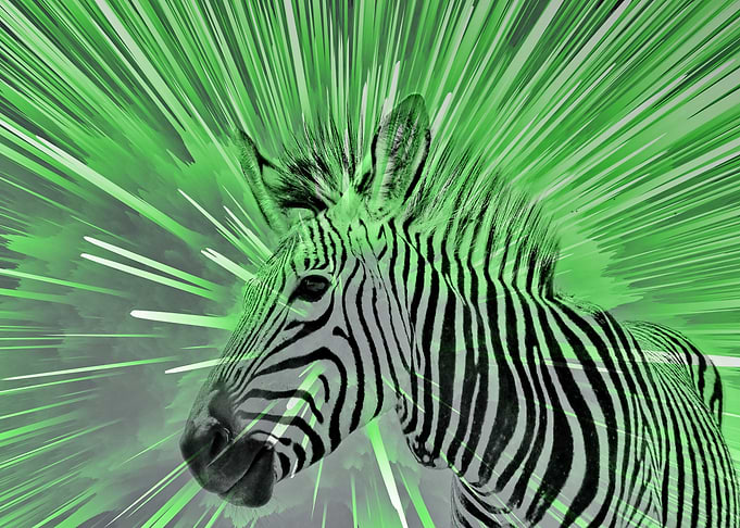 Zebra pop green