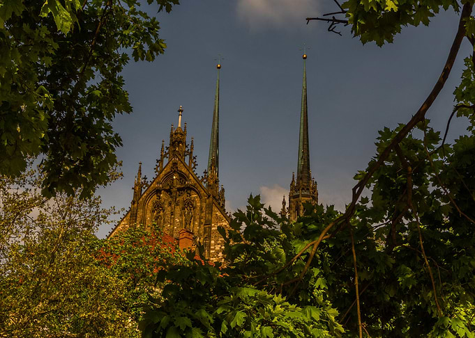 The Cathedral