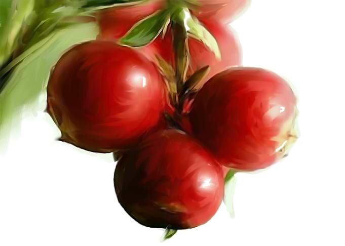 Cranberries