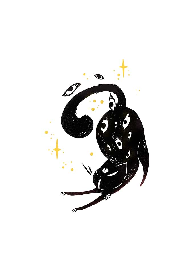 Stretching Black Cat