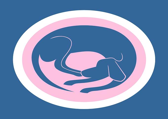 Ellipsed Dog