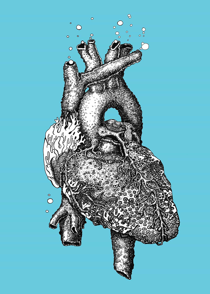 Reef Heart