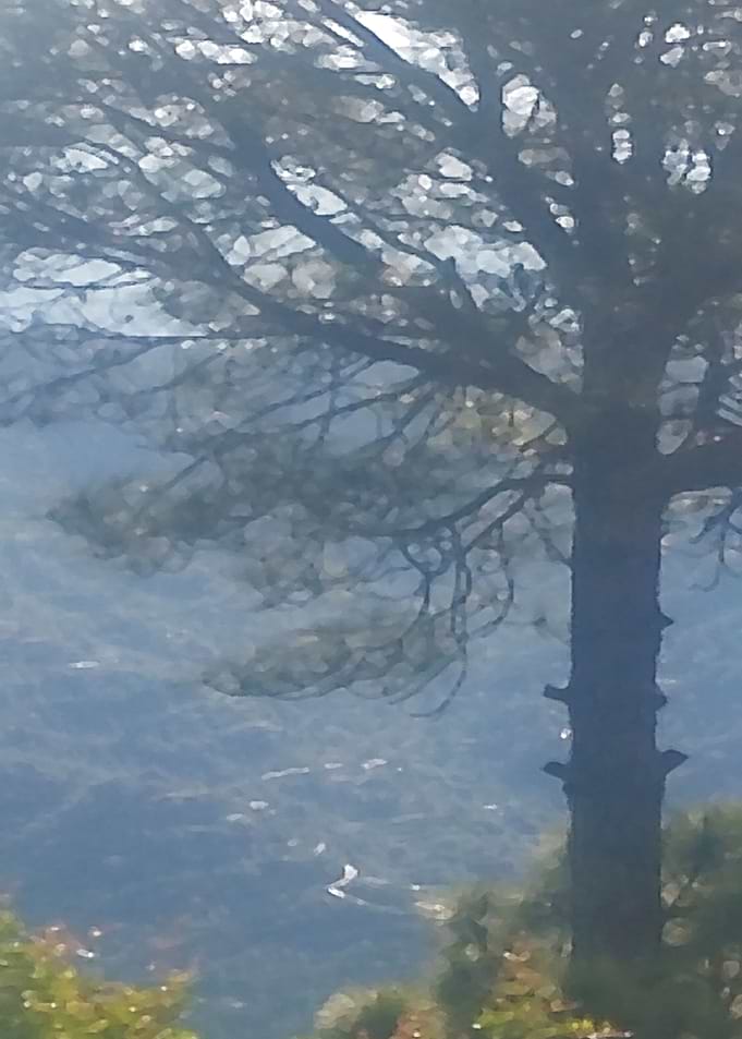 A View