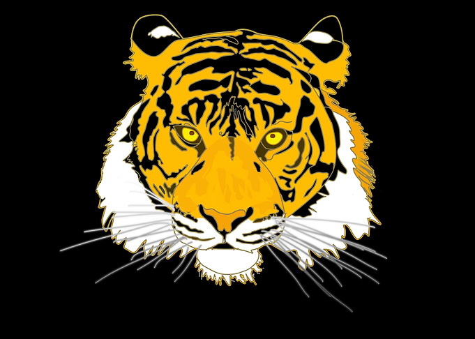 Yellow Tiger