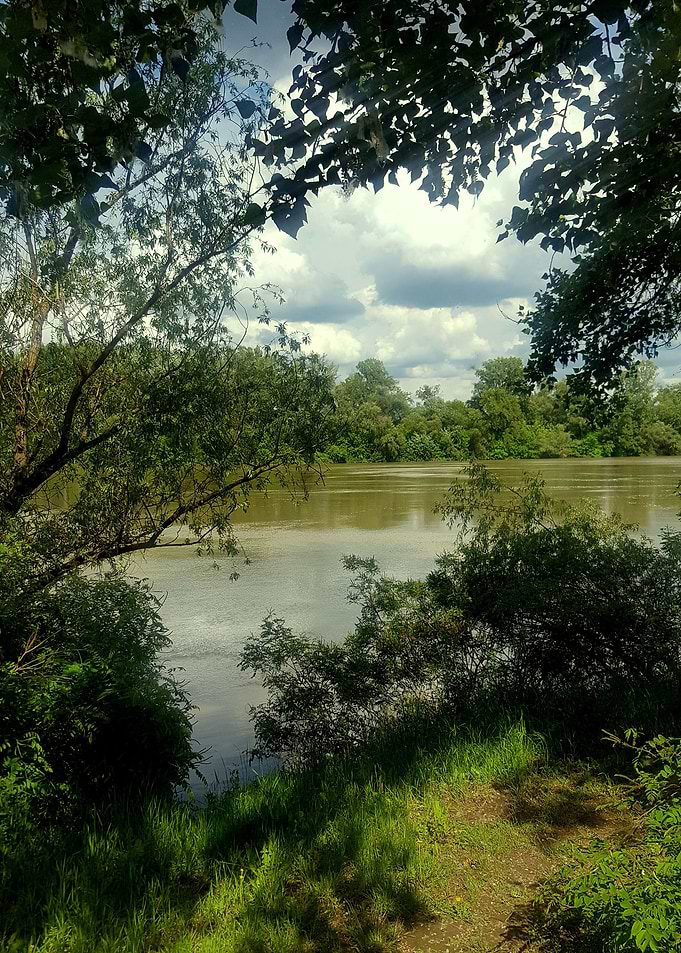 Tisa River