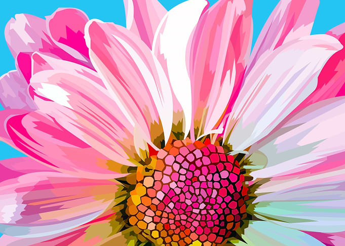 Pink flower