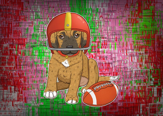Puppy Football Amazing V