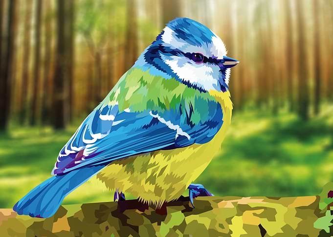 Bird in forest