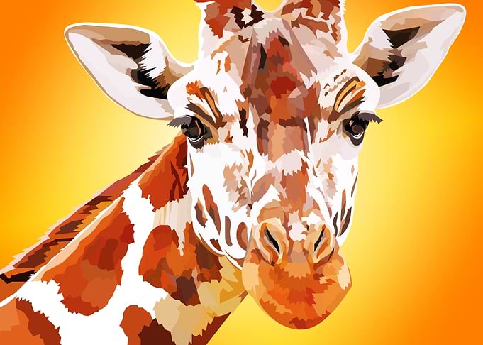 African Giraffe Safari
