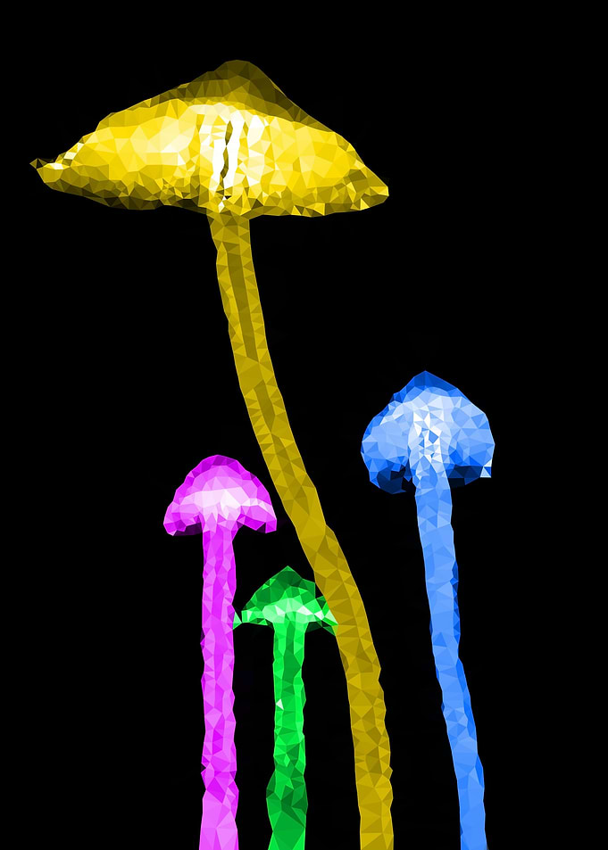 NeonChampignon