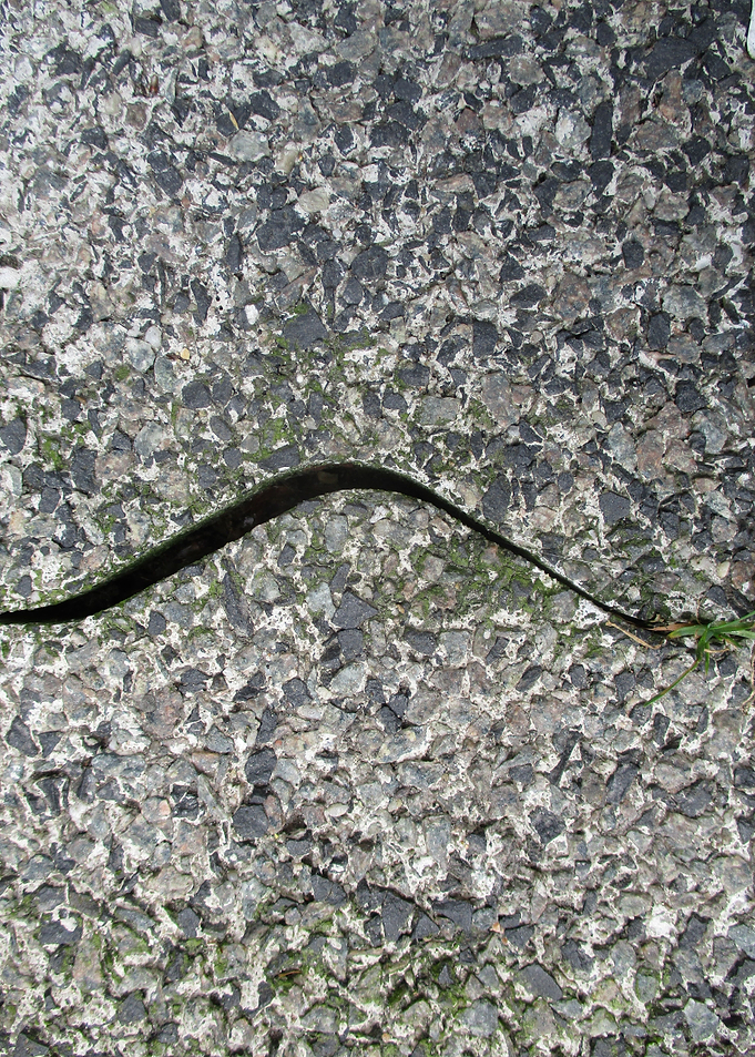 Curved Edge