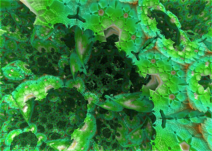 The Garden