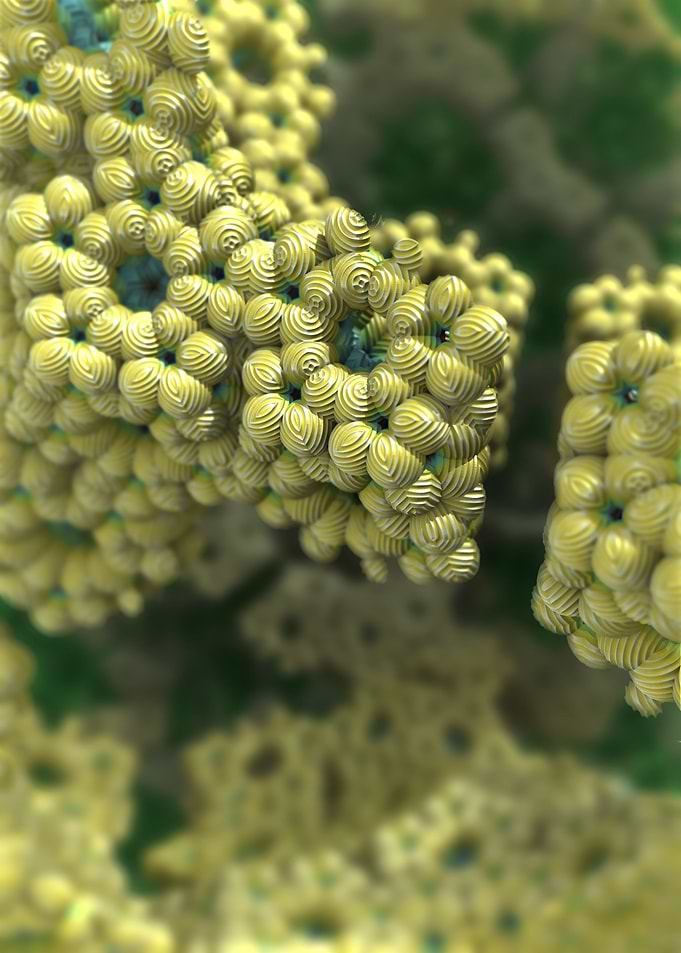 Macrocosmosis