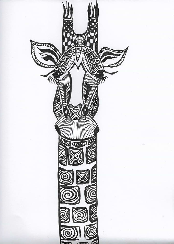 BW Giraffe