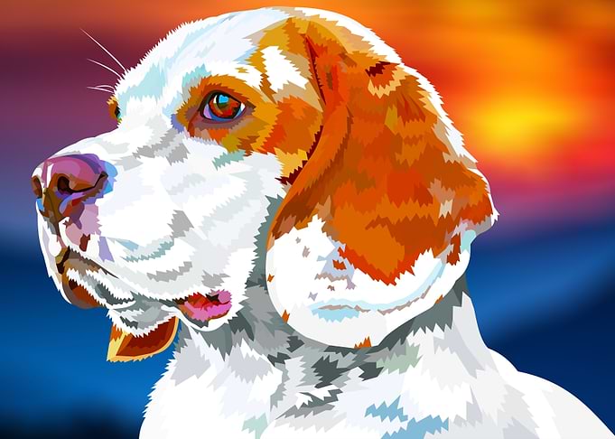 Beagle puppy in sunset