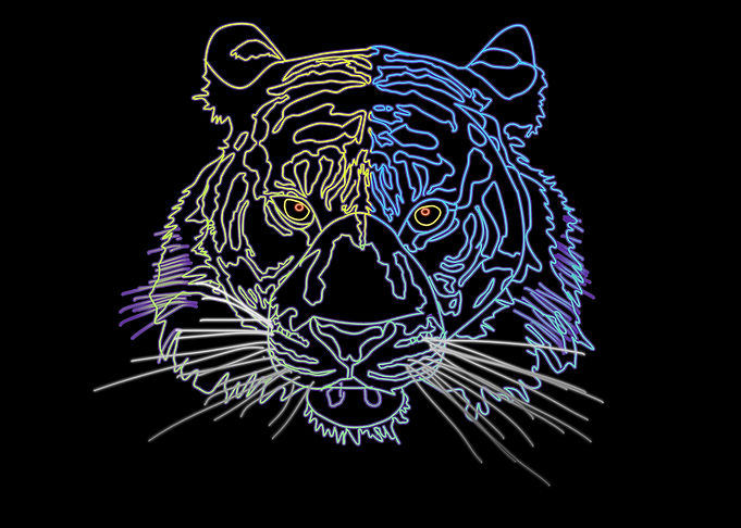 Beautiiful Glowing Tiger