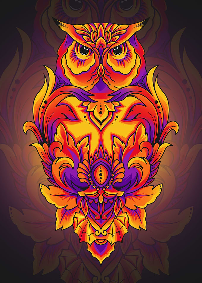 Owl Geometry