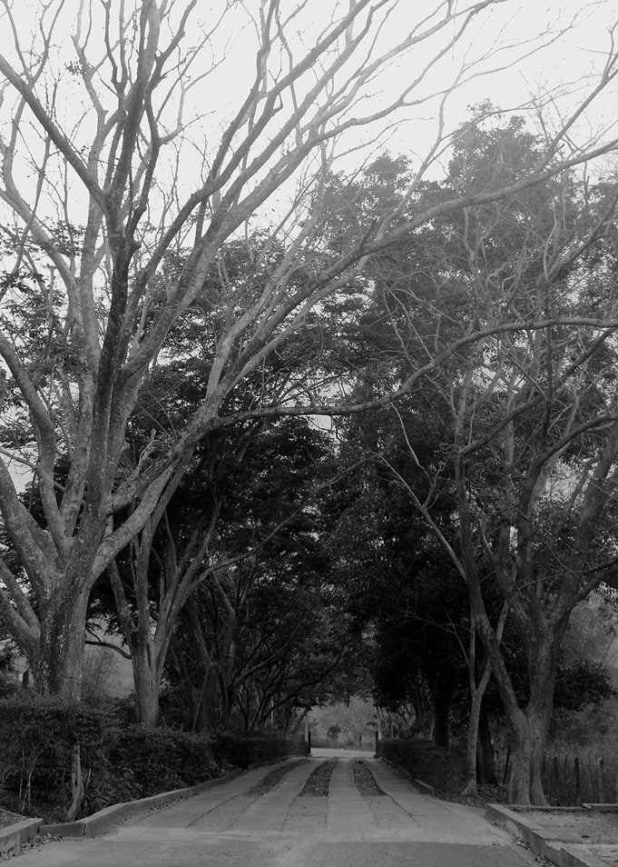 Road