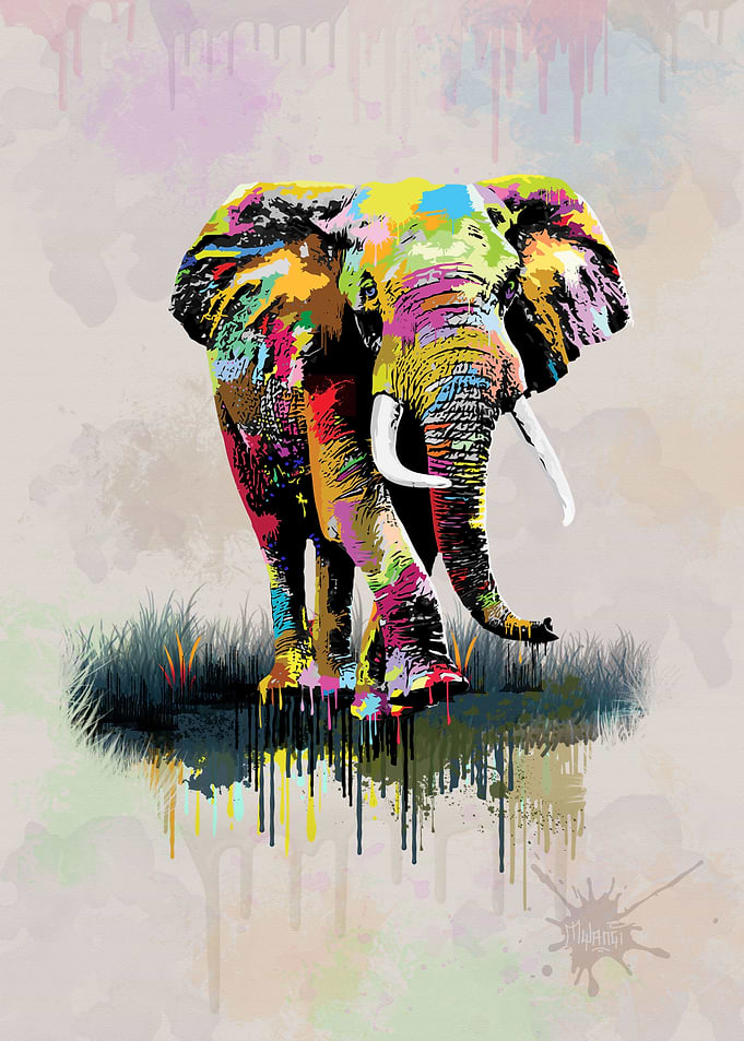 Bull Elephant