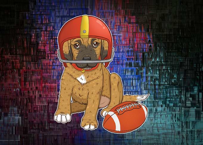 Puppy Football Amazing VI