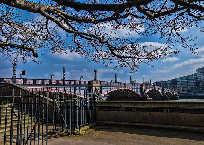 Lambeth Bridge with spring