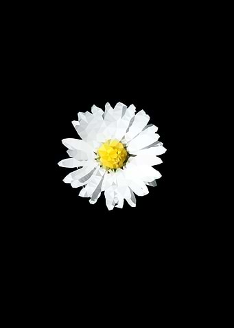 WhiteFlower