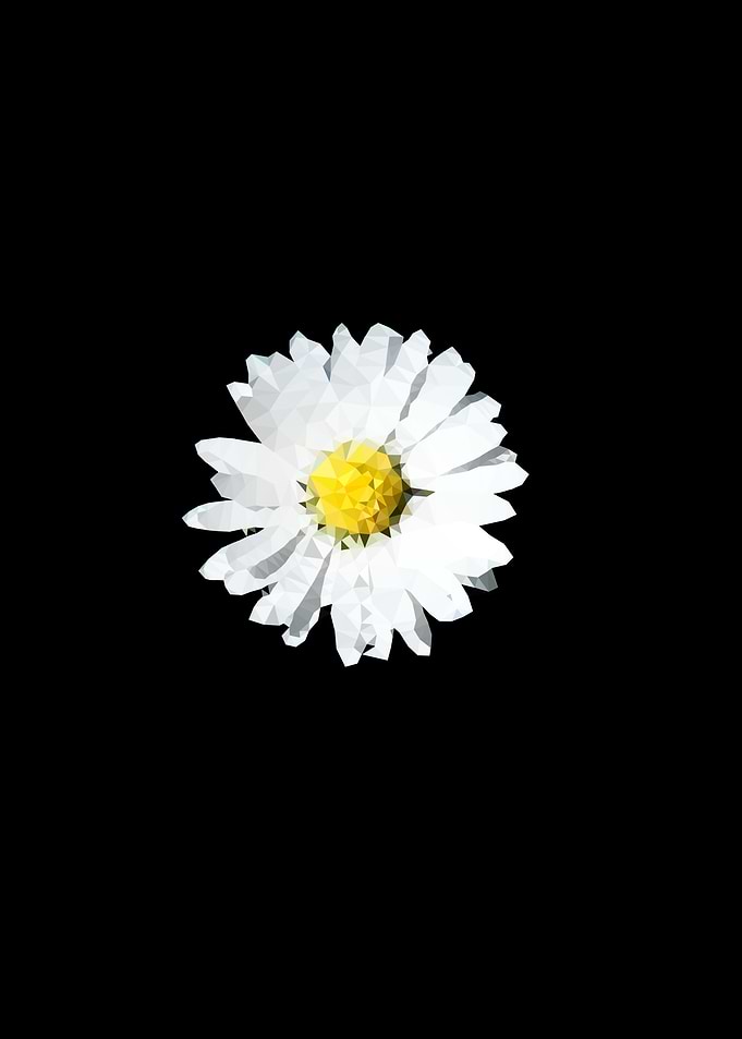 WhiteFlower