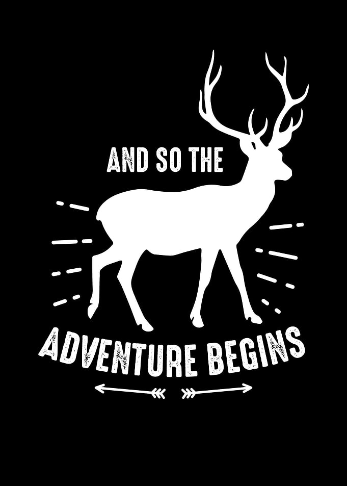 The Adventure Begins