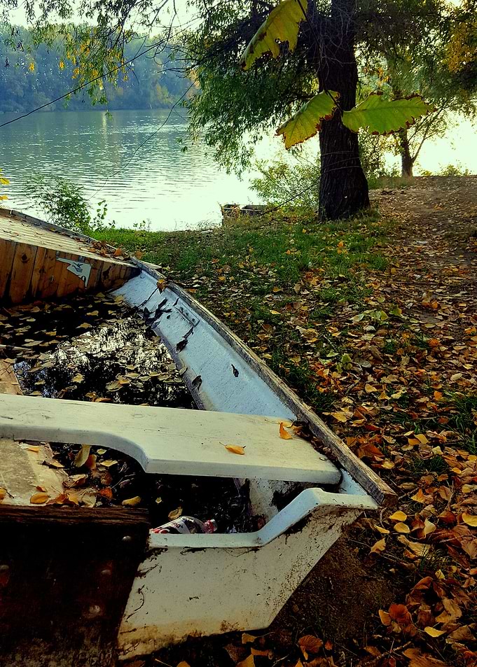 Boat on the coast