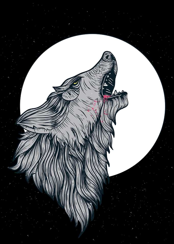 Wolf at Moonlight