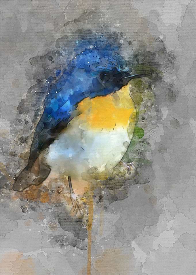 bird watercolor style
