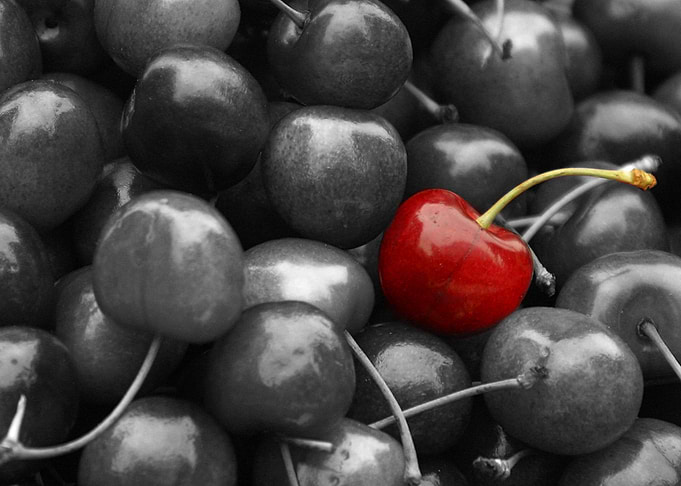 Cherry Delight