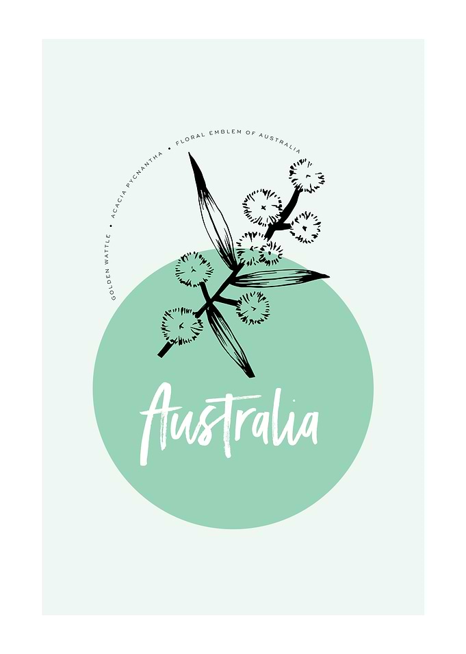 GOLDEN WATTLE
