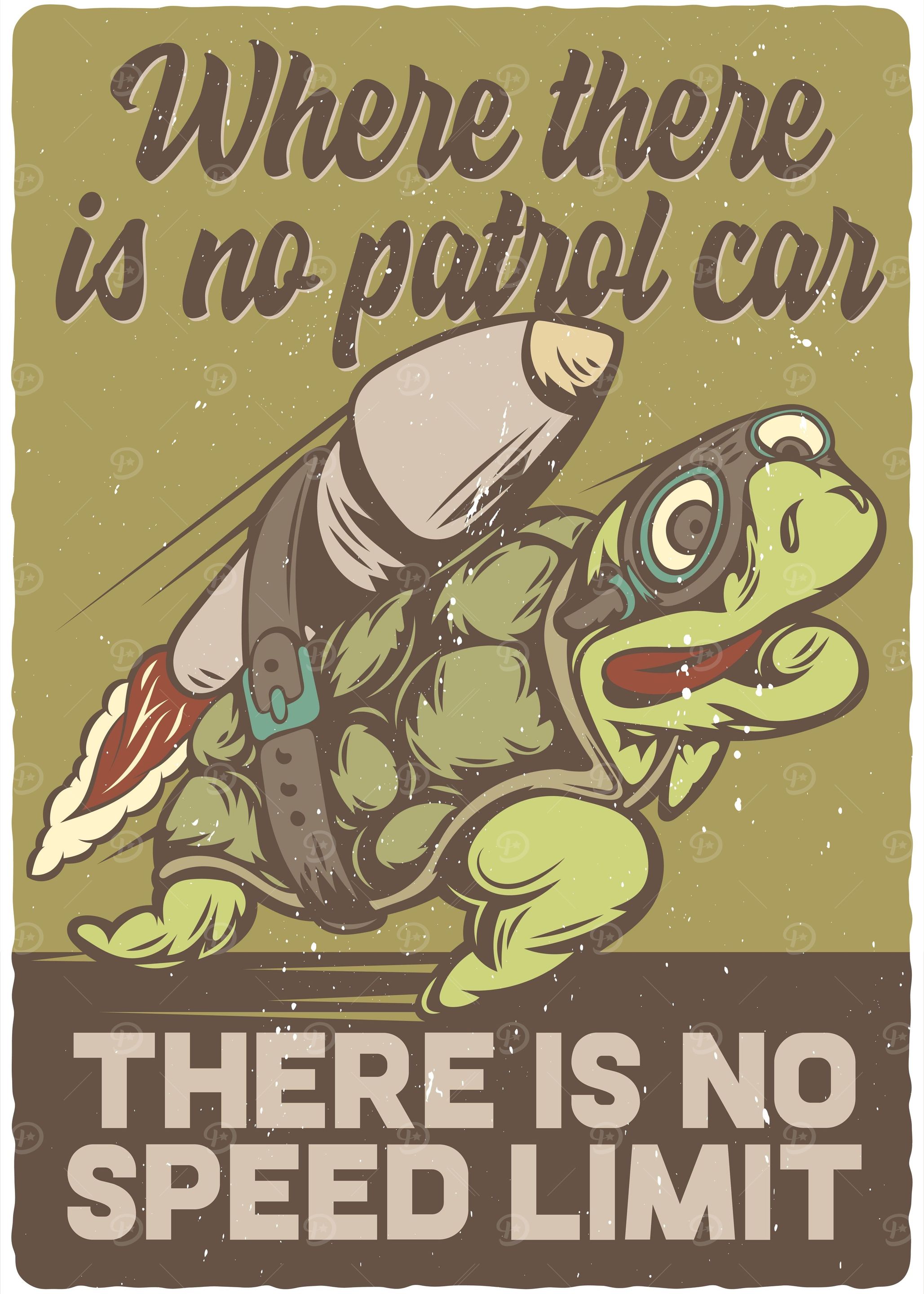 Turtle 01