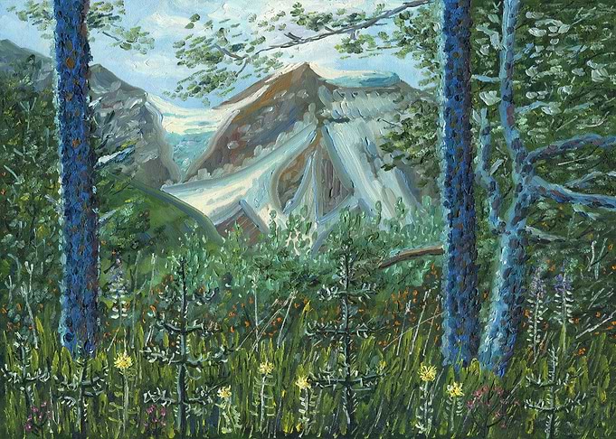 Mountain Forest