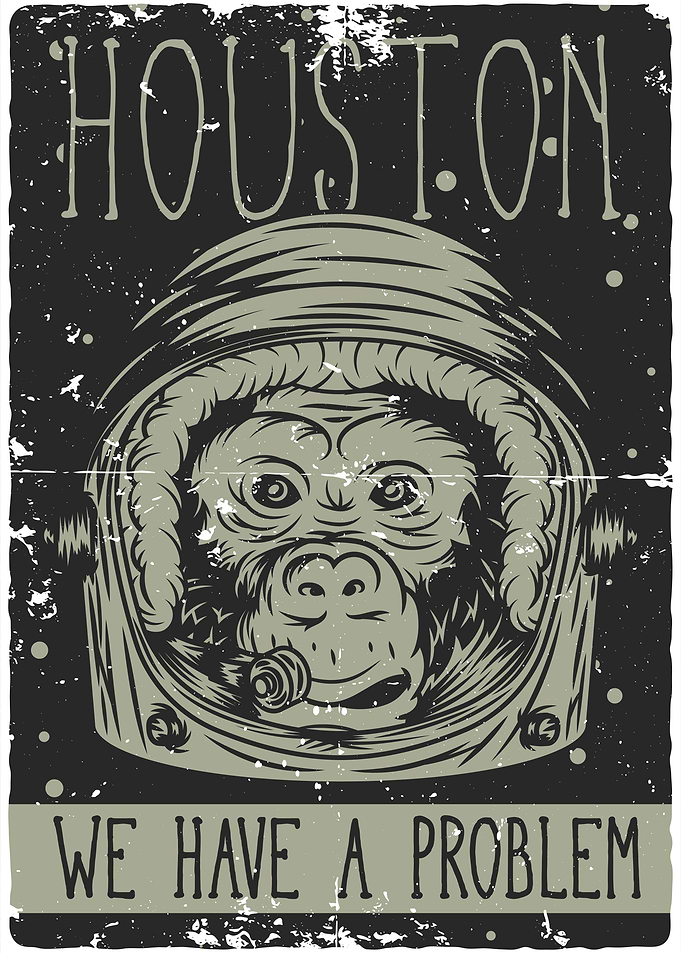 Monkey 02