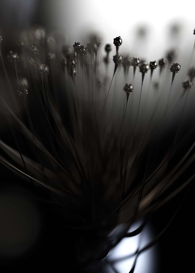 Multiverse