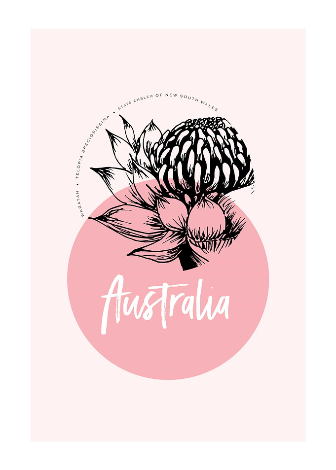 WARATAH