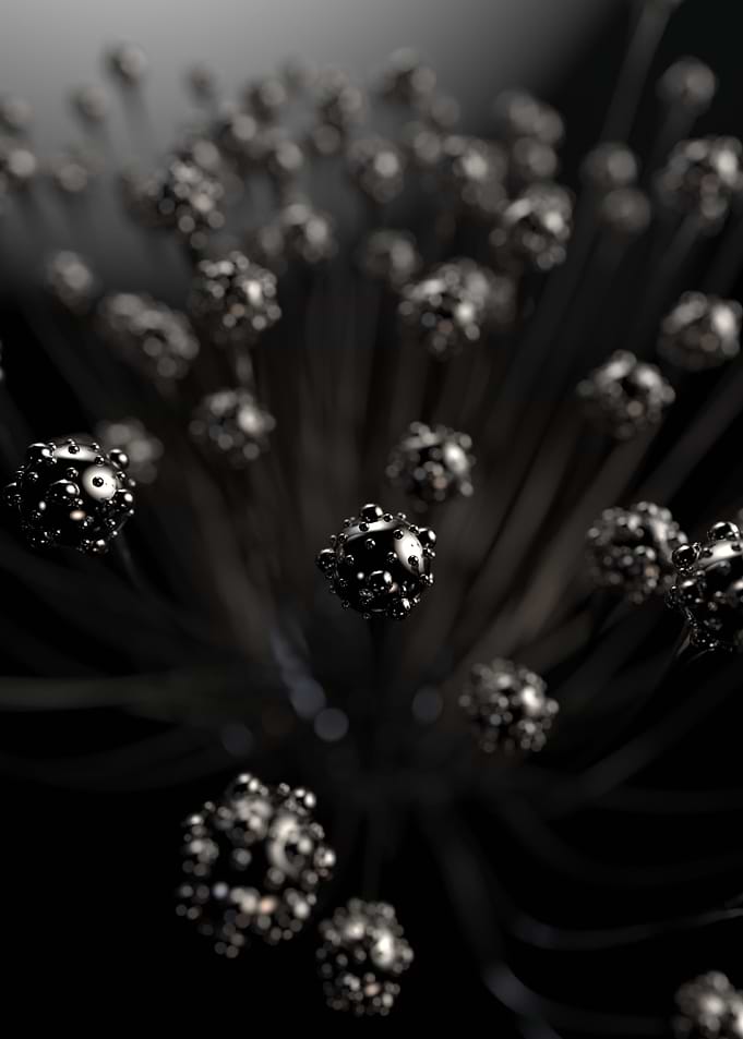 Multiverse