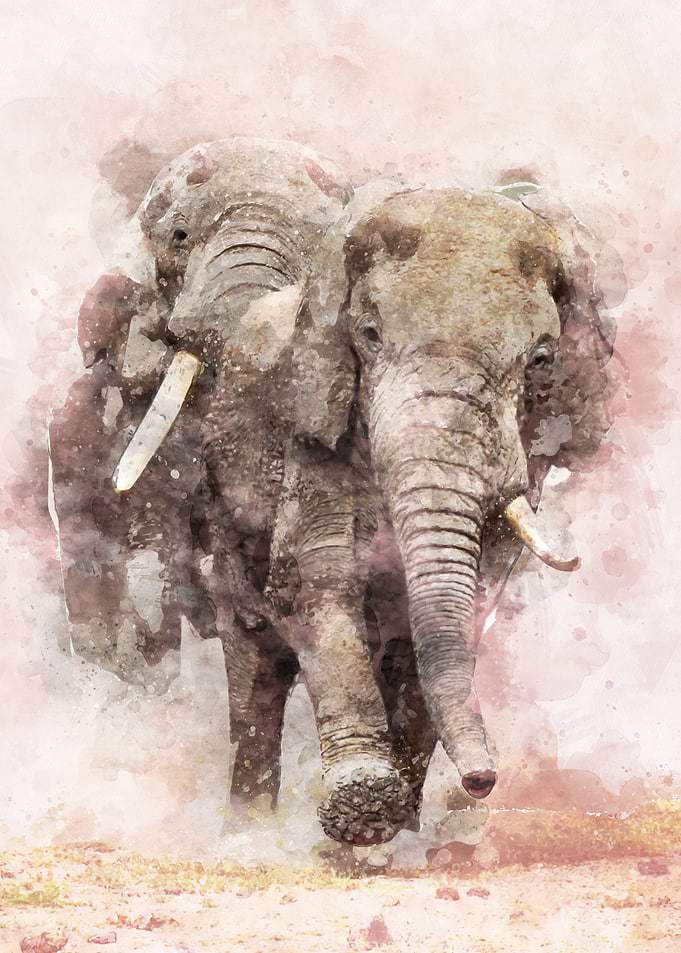 Run From Fighting Elephant