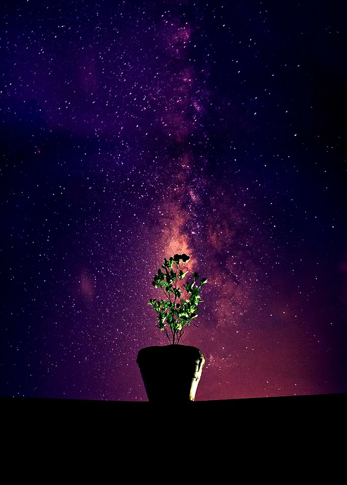 CALAMANSI MILKYWAY