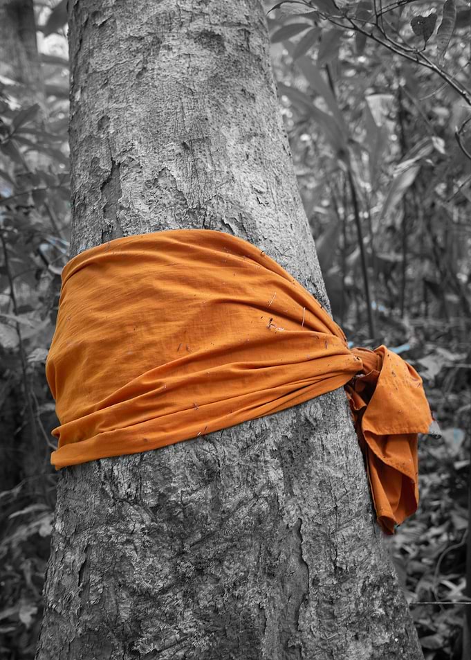 Monk Tree