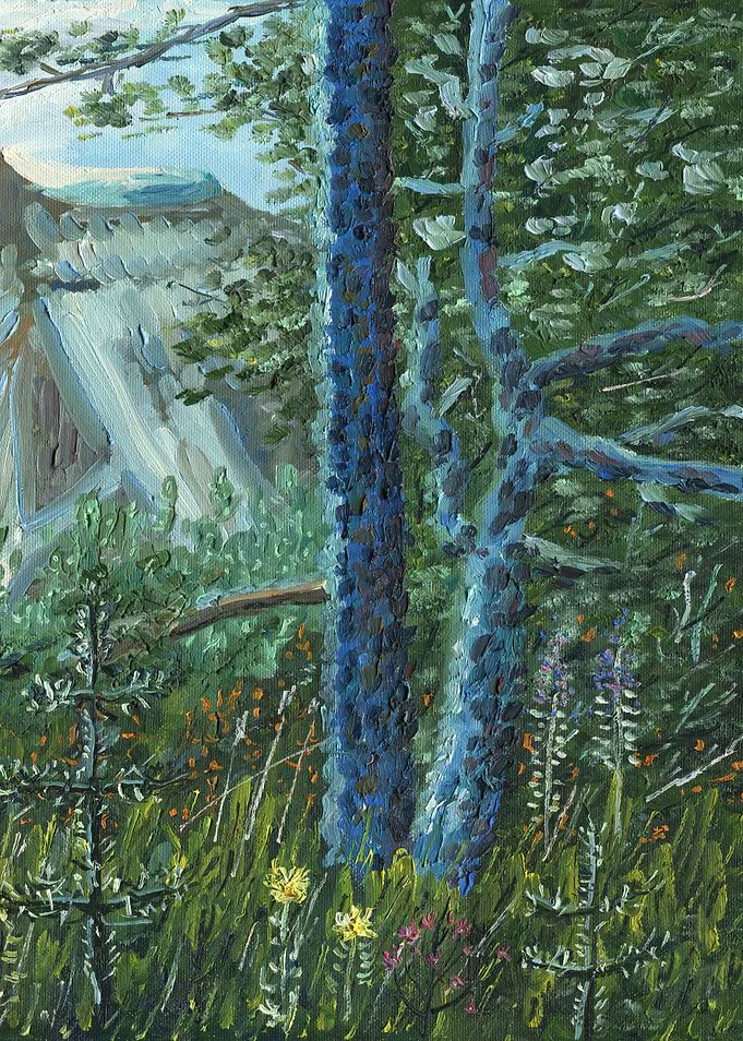 Mountain Forest Part 2