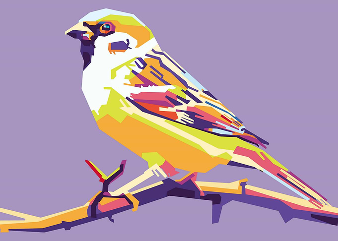 bird on wpap style