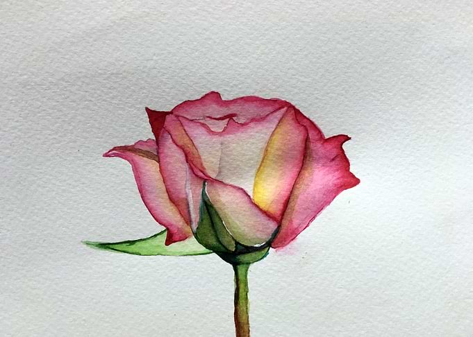 A ROSE