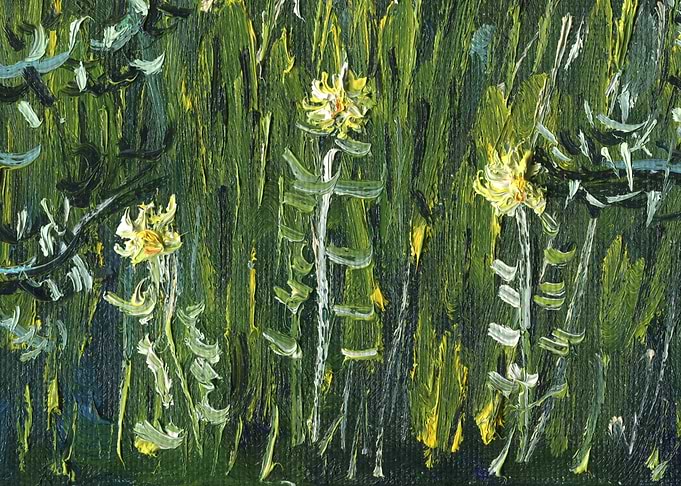 Forest Meadow Flowers 4