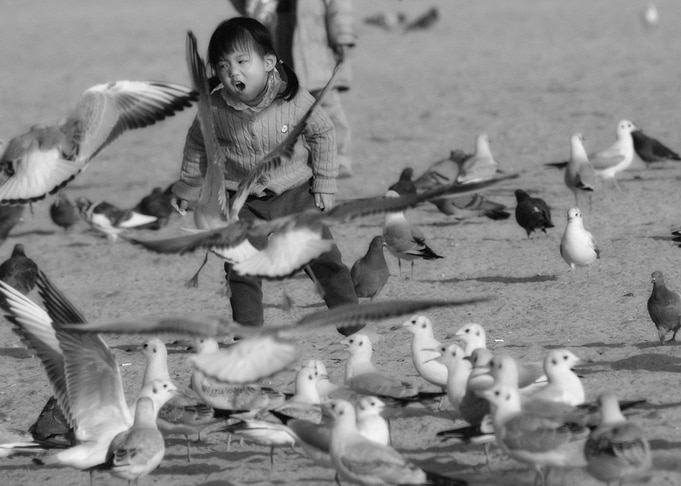 Dove Girl