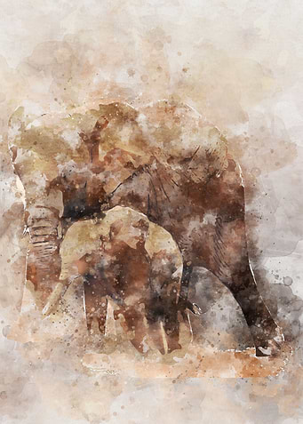 African Elephant Art