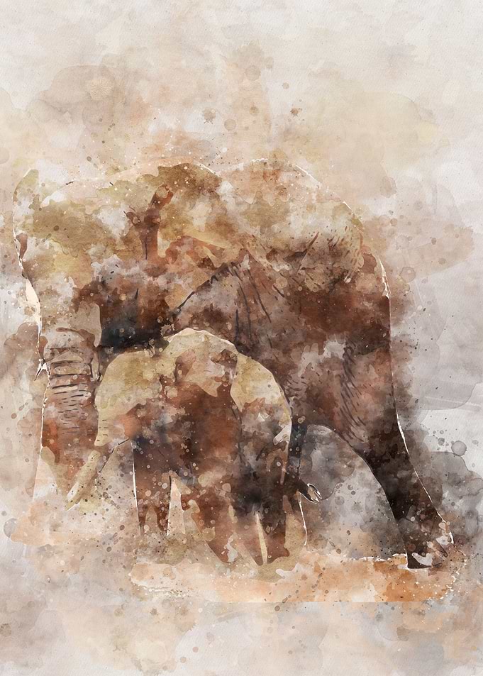 African Elephant Art