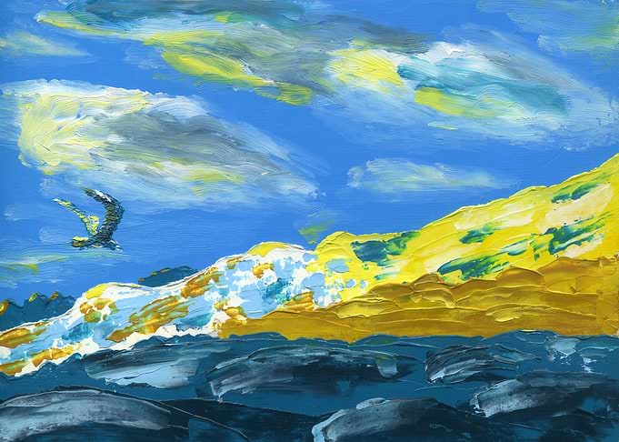 Flying Seagull